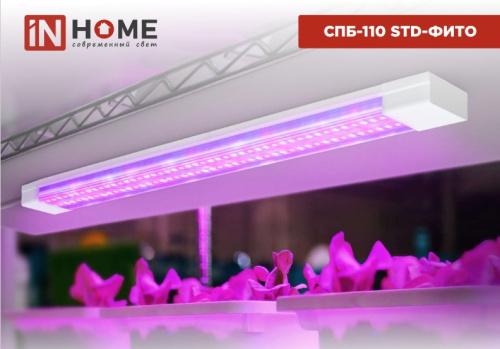 Светильник светодиодный красно-синий спектор СПБ-110 STD-ФИТО