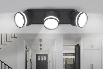 Потолочные светильники серии НПБ-СПОТ