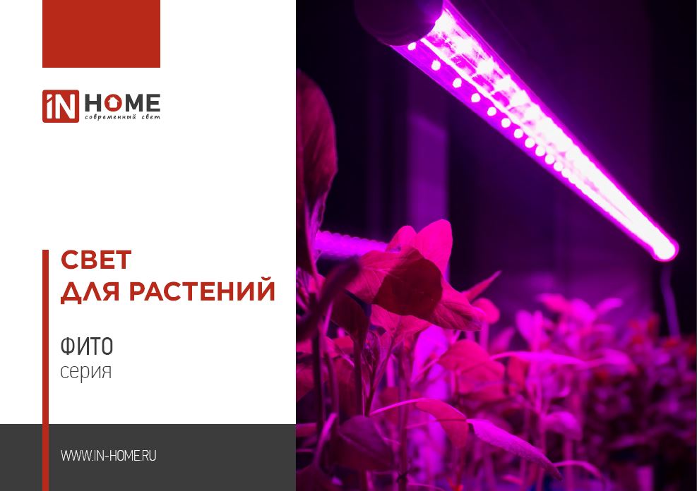 IN HOME Свет для растений
