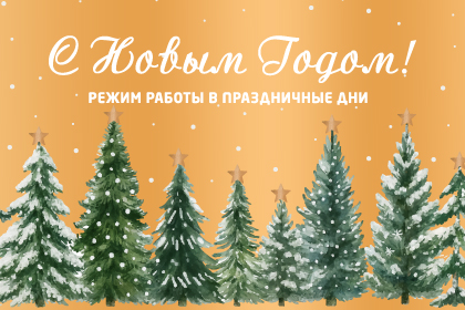 C Новым 2026 Годом!