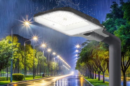 Уличные светильники ДКУ-2L