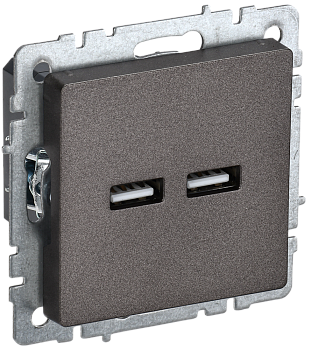 Розетка USB A+A 3,1А BRITE IEK бронза во Владивостоке