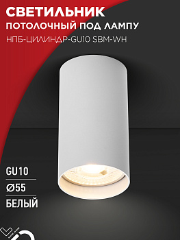Светильник потолочный НПБ-ЦИЛИНДР-GU10 SBM-WH под GU10 55х100мм белый IN HOME во Владивостоке
