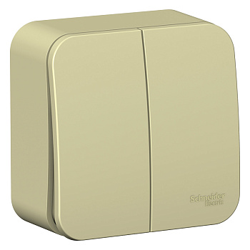 Выключатель двухклавишный (cх.5) BLANCA SE с изолирующей пластиной бежевый во Владивостоке