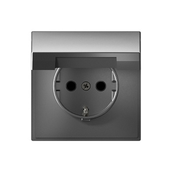 ARTGALLERY РОЗЕТКА с заземл. со шторк. с крышкой, 16А, IP20, механизм, СТАЛЬ во Владивостоке