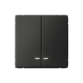 ARTGALLERY 2-клавишный ВЫКЛЮЧАТЕЛЬ с подсветкой, сх.5а, 10АХ, механизм, БАЗАЛЬТ во Владивостоке