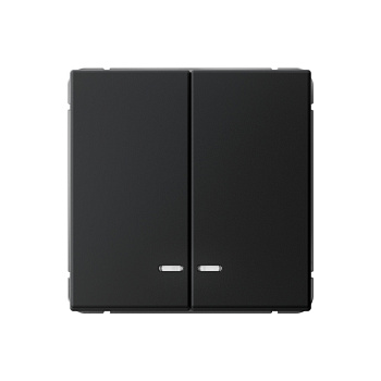 ARTGALLERY 2-клавишный ВЫКЛЮЧАТЕЛЬ с подсветкой, сх.5а, 10АХ, механизм, КАРБОН во Владивостоке