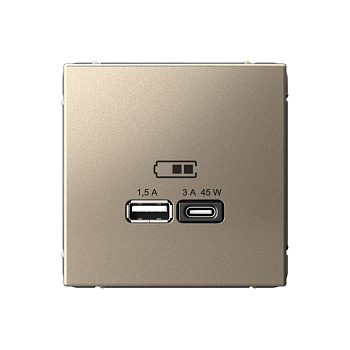 ARTGALLERY USB РОЗЕТКА A + тип-C 45Вт высокоскор.заряд. QC, PD, механизм, ШАМПАНЬ во Владивостоке