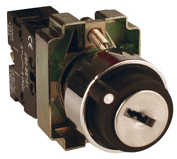 Переключатель BG61 2P с замком возвратный NO EKF PROxima во Владивостоке