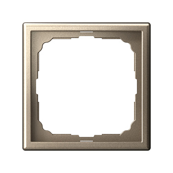 ARTGALLERY 1-постовая РАМКА, ШАМПАНЬ во Владивостоке