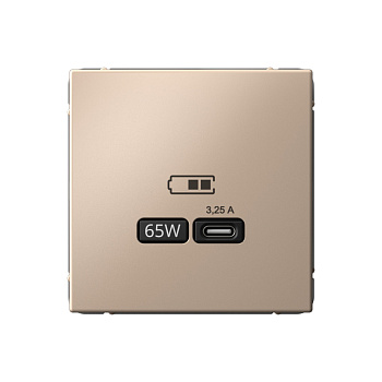 ARTGALLERY USB РОЗЕТКА тип-С 65Вт высокоскор.заряд. QC, PD, механизм, ПЕСОЧНЫЙ во Владивостоке