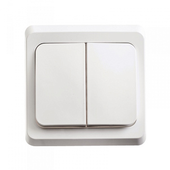 Выключатель двухклавишный ЭТЮД SE подсветкой белый  – купить розетки, рамки, выключатели оптом и в розницу  Выключатель двухклавишный ЭТЮД SE подсветкой белый во Владивостоке