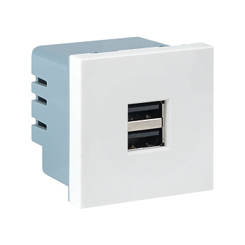 Розетка USB, сила тока 2.1 А (2 гнезда) без индикатора  – купить гофру, лоток и кабель-каналы оптом и в розницу  Розетка USB, сила тока 2.1 А (2 гнезда) без индикатора во Владивостоке