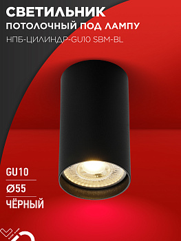 Светильник потолочный НПБ-ЦИЛИНДР-GU10 SBM-BL под GU10 55х100мм черный IN HOME во Владивостоке