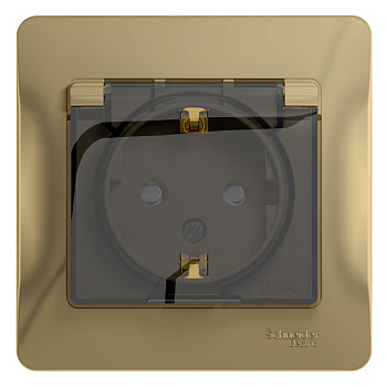 Розетка одинарная с заземлением Glossa SE IP44 со шторками с крышкой титан в сборе во Владивостоке